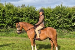Danielle-hughes-Horse_Pony-Graishall-Lilibutt