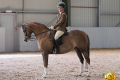 Emma-Burrow-Horse_Pony-Orlando-Mayfair