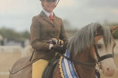 Immy-Strathern-Horse_Pony-Thistledown-Jambo