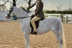 Jasmine-Radford-Horse_Pony-Melau-sky