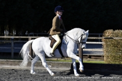 Jessie-Barleycorn-Horse_Pony-Rowfantina-Orlando-Bloom