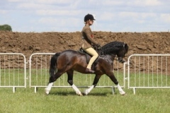 Katherine Bowling-Hartenfeld and Brynseion Meirion