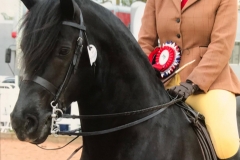 Kaybrook Midnight Comet and ellena Thomas