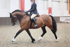 Kelly Jones and Maescrofta Don Juan