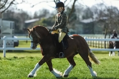 Tireinon Defender and Lauren Baker