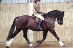 Zara Scudamore and Rivervalley Raindaisy