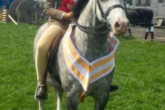 Bronte Hatton Ritchie and Heniarth andante