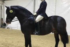 Emma Boardman and Dyffryngwy Sir Picssso