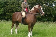 Georgina Wilkes and Norton Heath Glitz 'n' Glamour