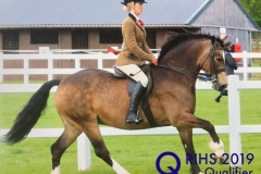 Lucy Parr and Cilsane Dyminiad Helen