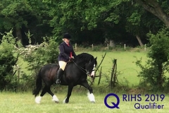 Mercede Etherington and Renvarg Maverick-