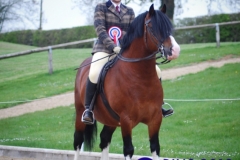 iysha pitman and Hywi the enforcer