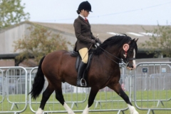 April-Gilmartin-and-Gems-malt-whiskey