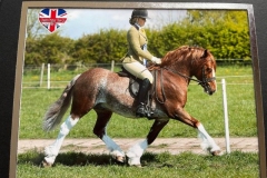 Robyn-Jayne-Hadland-and-Garlance-flash-jac