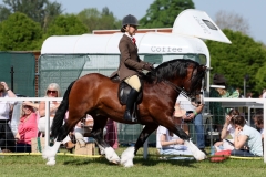 April-Gilmartin-and-Gems-malt-whiskey