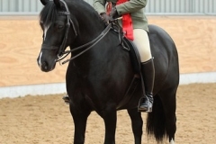 Kirsty-aird-and-Parcybedw-Sparkling-Diamond