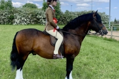 Harriet-Glenn-and-Glebedale-Jonny-Depp