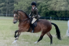 Mikileigh-Batchelor-and-Starloch-Princess-Bride