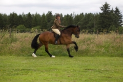 Sarah-Burkhill-and-Taiforgan-Cracker-Jack