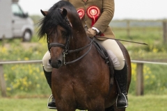 oe-Shaw-and-Brynithon-Grandslam-