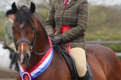 Kelly-Morris-Horse_Pony-Erwfforch-Carwyn