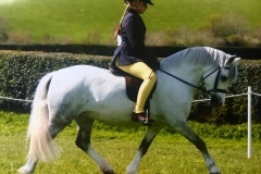 Freya Wilson and Willowdown Verity