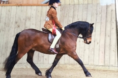 Newoak Star Edition rider Sydney Head