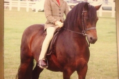 Rochedo Beach Bandit and Sophie Stiles