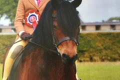 Brandsby Witchcraft and Lillie Whittaker