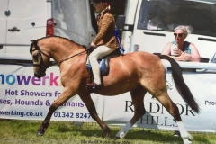 Chloe-may Smith and desarbre sparrow hawk