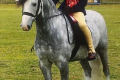 Lucas Bell and Gwithian Percival