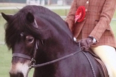 treworgan dambuster and Jessica cheetham