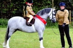 Maisie peters and Amilas Mendelsshon