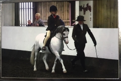 Thistledown Love Knot and Brodie Birtwell