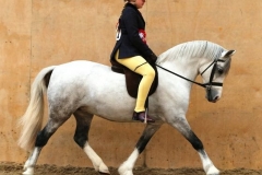 Freya Wilson & Willowdown Verity