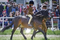 Greenferns Bentley and Jasmine Kerr-Allen