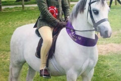 Mynyddtarren Hugo and Matthew Procter