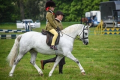 Colne Pookie ridden by Darci Campbell