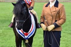 Newoak Gold Edition and William Parkin