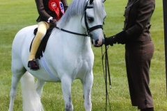 Thistledown Van Der Vaart and Hannah Wilson