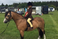 Westfirle Sandmartin and Alfie Diaper