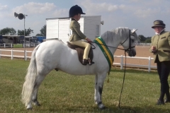 Aston Potter -Firth and Heniarth Yes Sir