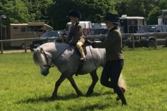 Freya Rafferty and Sharptor silver skyline