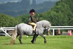 Freyja raffertu and Sharpator silver skyline
