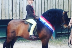 Lewis Reynolds and Coppinshill Commemoration