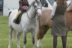 Millie Rackham and Springlane Elegance