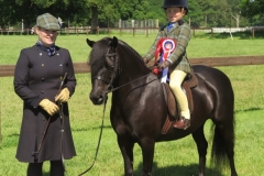 William Parkin and Newoak Gold Edition