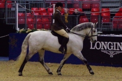 Crazy Horse Charlotte Miller