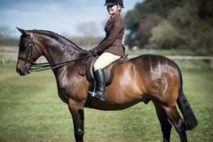 Katie Ashcroft and Brindlebrook Under Suspicion