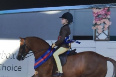 Annandale minstrel and Lola Bass